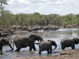 Western_Corridor2009-26